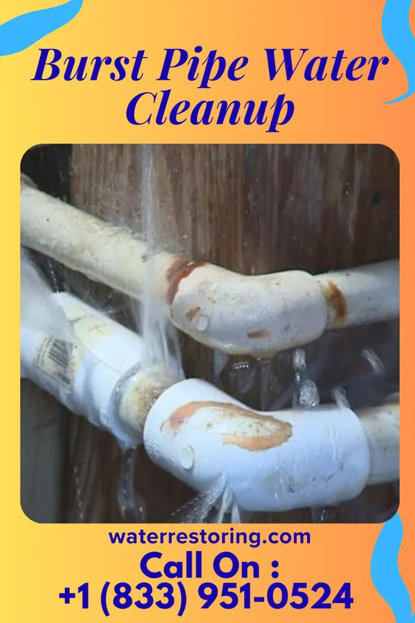 Burst Pipe Water Cleanup in Westphalia, IA