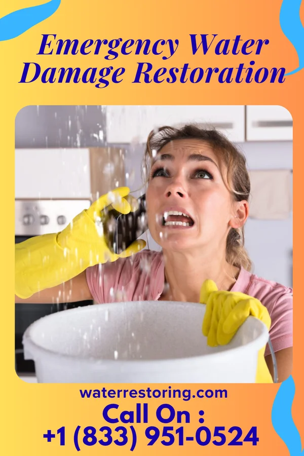 Emergency Water Damage Restoration in Westphalia, IA