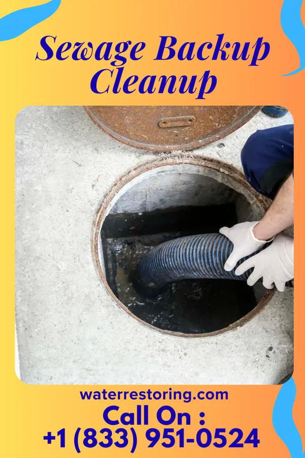 Sewage Backup Cleanup in Westphalia, IA